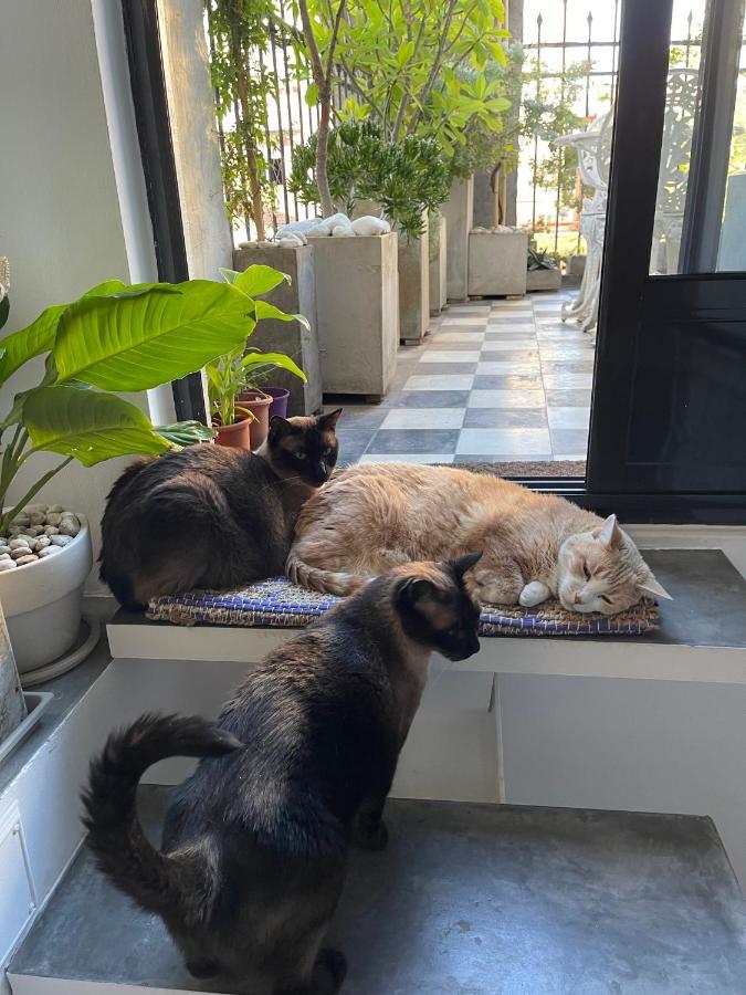 Le Petit Palais Bed & Breakfast Buenos Aires Ngoại thất bức ảnh